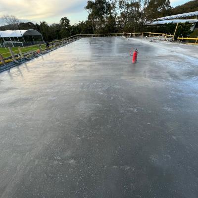 Oxford Falls Grammer School 55