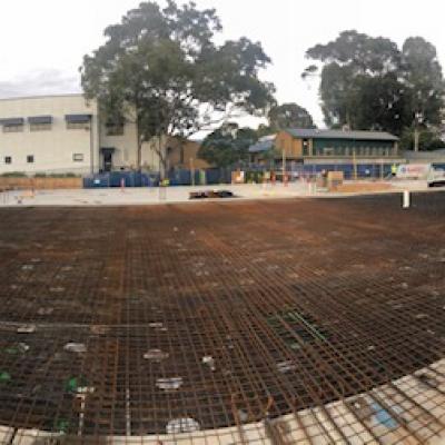 Rspca Yagoona Stage 1 2 16