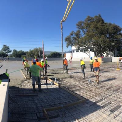 Rspca Yagoona Stage 1 2 7