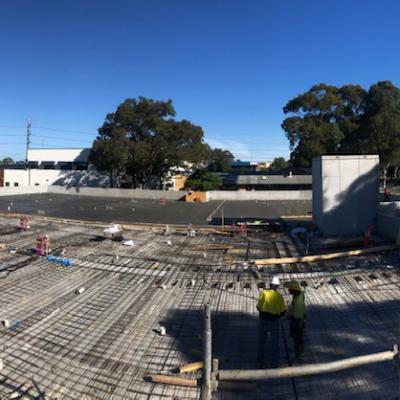 Rspca Yagoona Stage 1 2 8