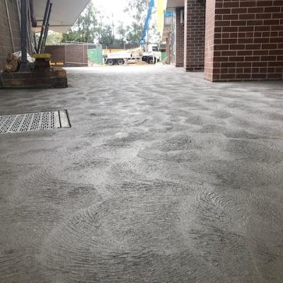 Good Samaritan Catholic Collage Hoxton Park 49